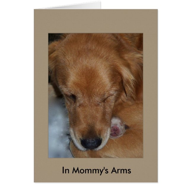 In Mommy's Arms (Front)