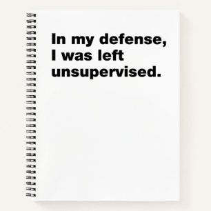 In my defence, I was left unsupervised Notebook