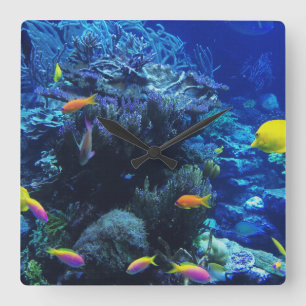 in ocean fish this code on a digital canvas square wall clock