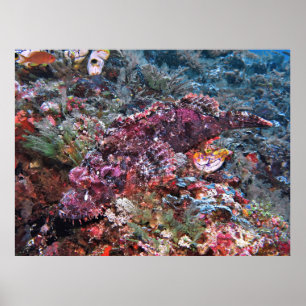 In Plain Sight Poster