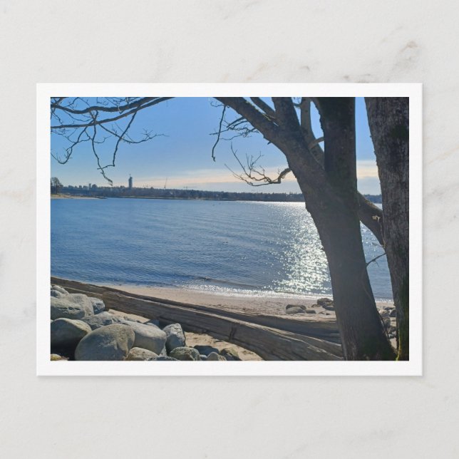 In Plain View Holiday Postcard (Front)