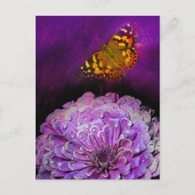 In Purple Postcard (Front)