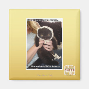 In Several Dumpsters Magnet