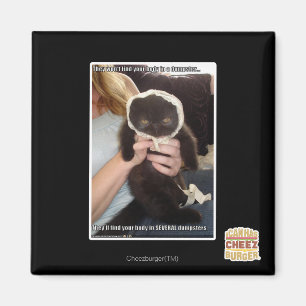 In Several Dumpsters Magnet