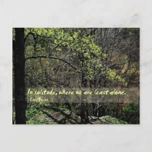 In solitude... postcard