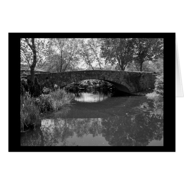 In Sympathy (Front Horizontal)