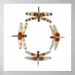 In Sync- Cercle des libellules Poster d'Art