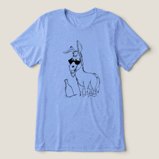 In the Beginning -  Tri-Blend Shirt