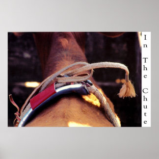 In The Chute Poster