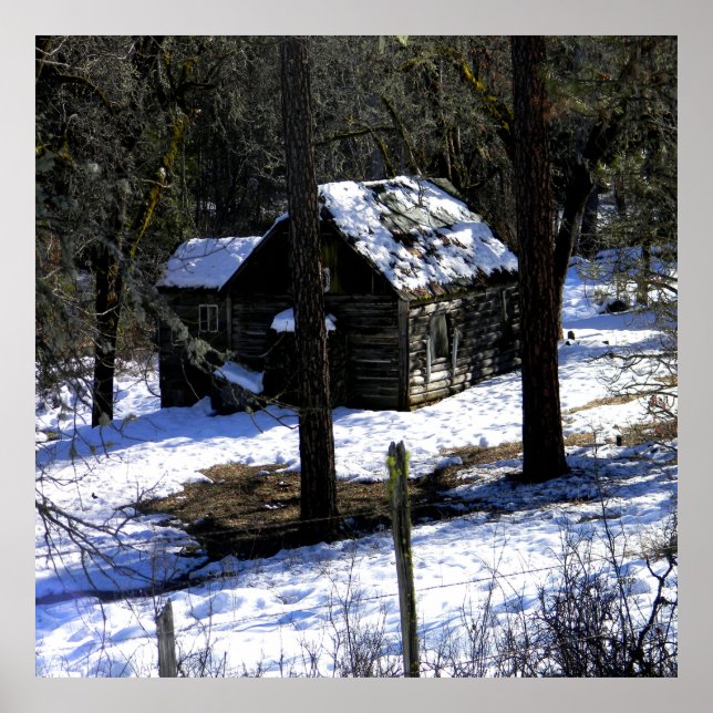 In the cold Winter.... Poster (Front)