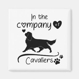 In the Company of Cavaliers    Magnet