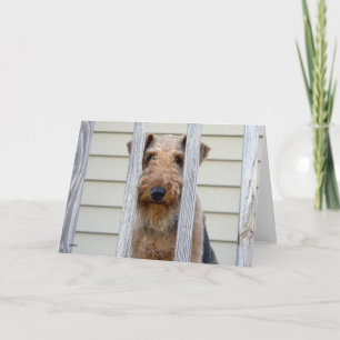 "In the Doghouse" Card