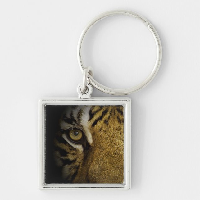 In the Eye of a Tiger Keychain (Front)