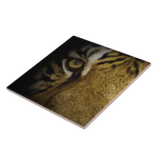 In the Eye of a Tiger Tile