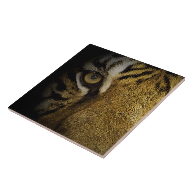 In the Eye of a Tiger Tile (Side)