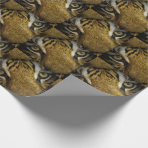In the Eyes of a Tiger Wrapping Paper