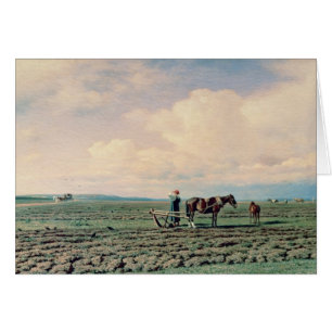 In the Field, 1872