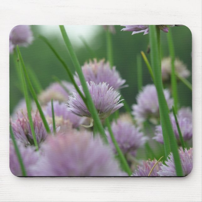 in the field of dreams mouse pad (Front)