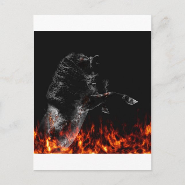 In the fire postcard (Front)