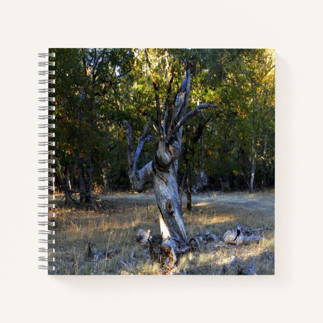 In the Forest.... Notebook (Front)