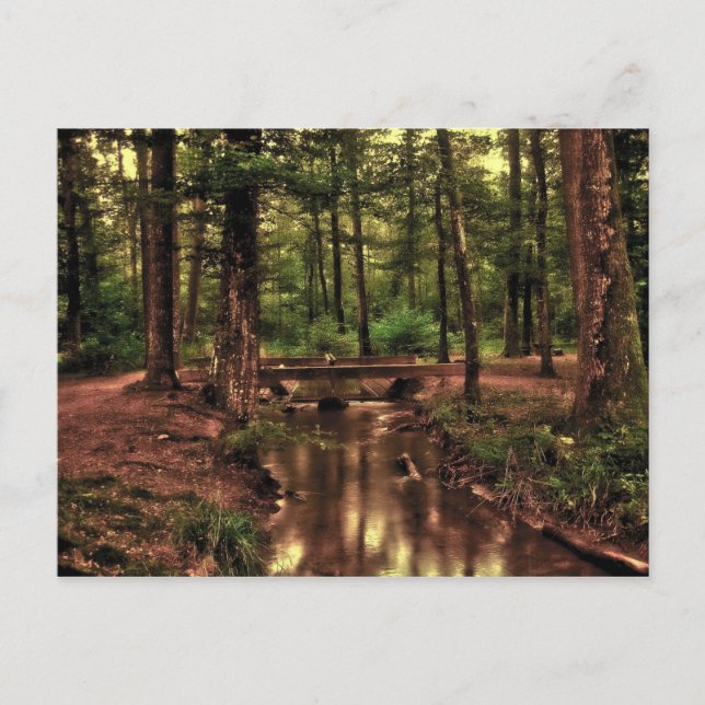 In the forest postcard (Front)