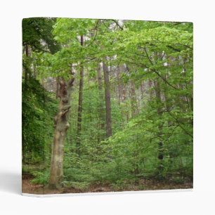 In the Forrest Binder