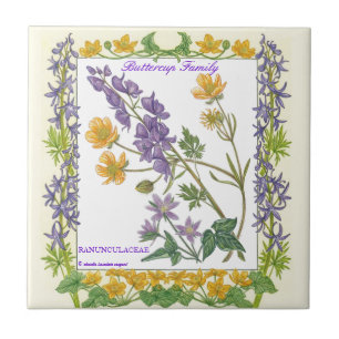 In the Garden ~ Buttercup Family Tile