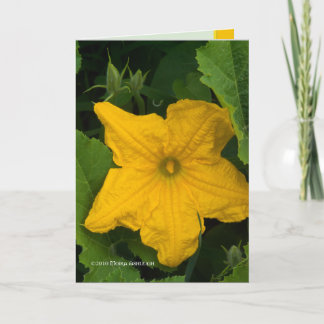 In the Garden Card