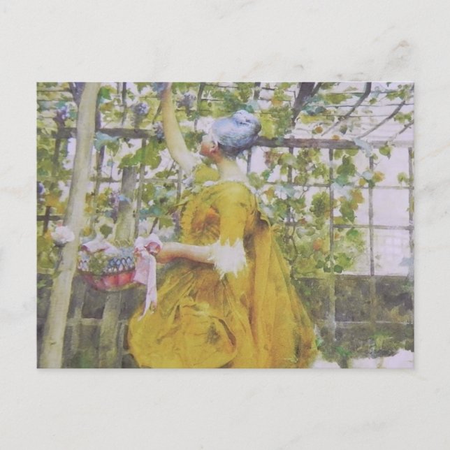 In the Grape Arbor Postcard (Front)