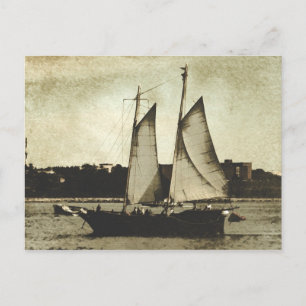 In The Harbour Postcard