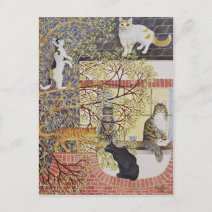 In the Limelight Postcard