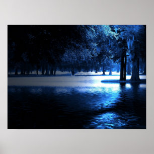 In the Moonlight Poster