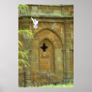 In the Morning Light Poster