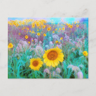 In the morning  ,postcard postcard