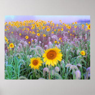 In the morning , print
