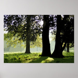 IN THE PARK POSTER