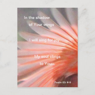 In the shadow of His wings Postcard