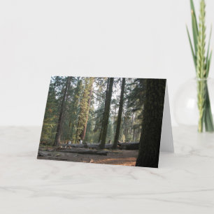 In the Sierra Neveda Card