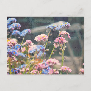 In The Spring Garden Postcard