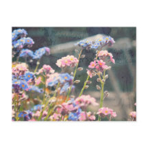 In The Spring Garden