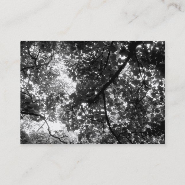 In the Trees, Mini Photo Business Card (Front)