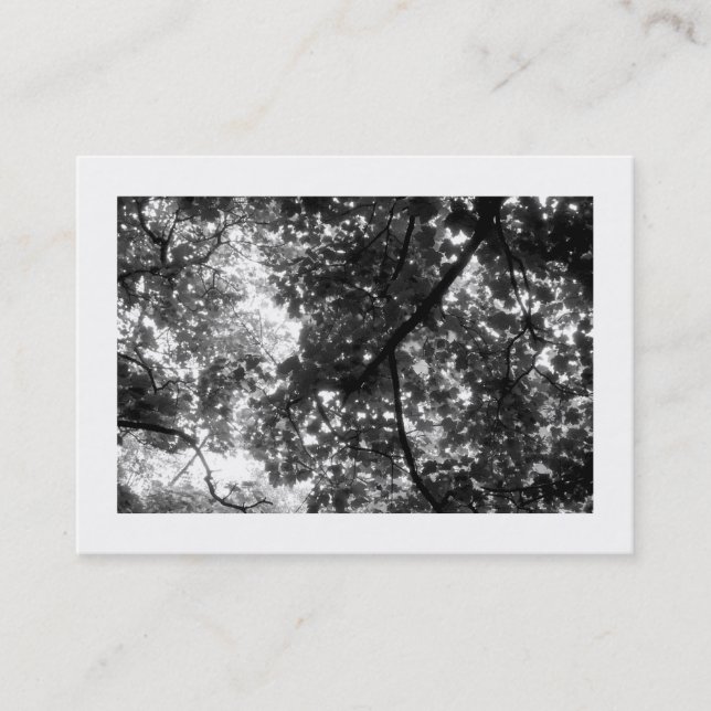 In the Trees, Mini Photo Business Card (Front)