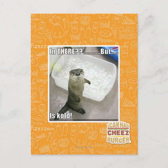 In there? Is Kold! Postcard (Front)