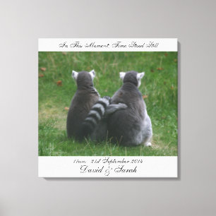 In this moment, time stood still - Lemur Love Canvas Print
