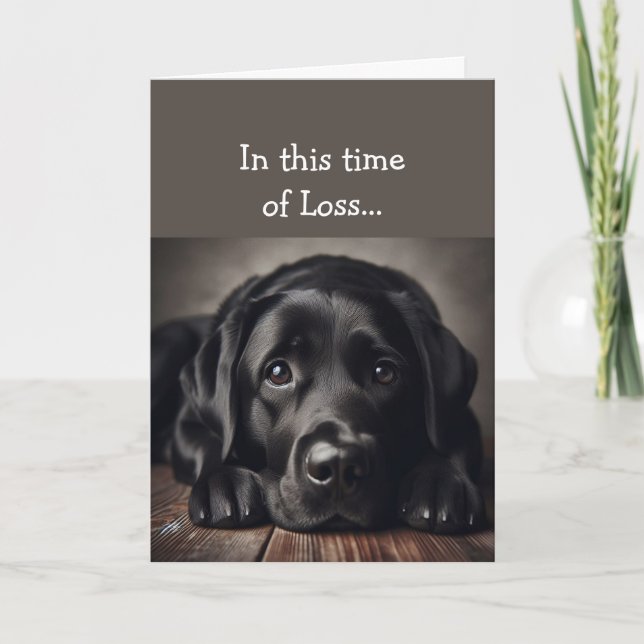 In this Time of Loss, Scripture Comfort Sad Dog Card (Front)