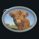 In Your Face Cow Belt Buckle<br><div class="desc">Add some colour and character to your style with one of our amazing belt buckle designs!</div>
