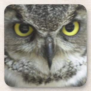 In Your Face Owl Coaster