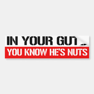 In Your Guts You know he's nuts - Feminist Bumper Bumper Sticker