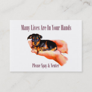 In Your Hands (Please Spay & Neuter) Business Card