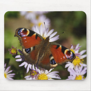 Inachis io mouse pad